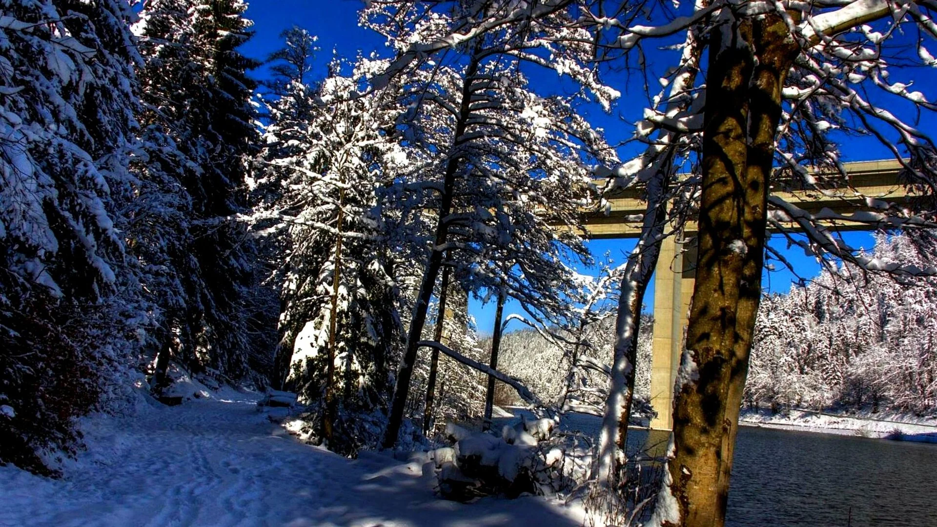 Bajer · Fužine
