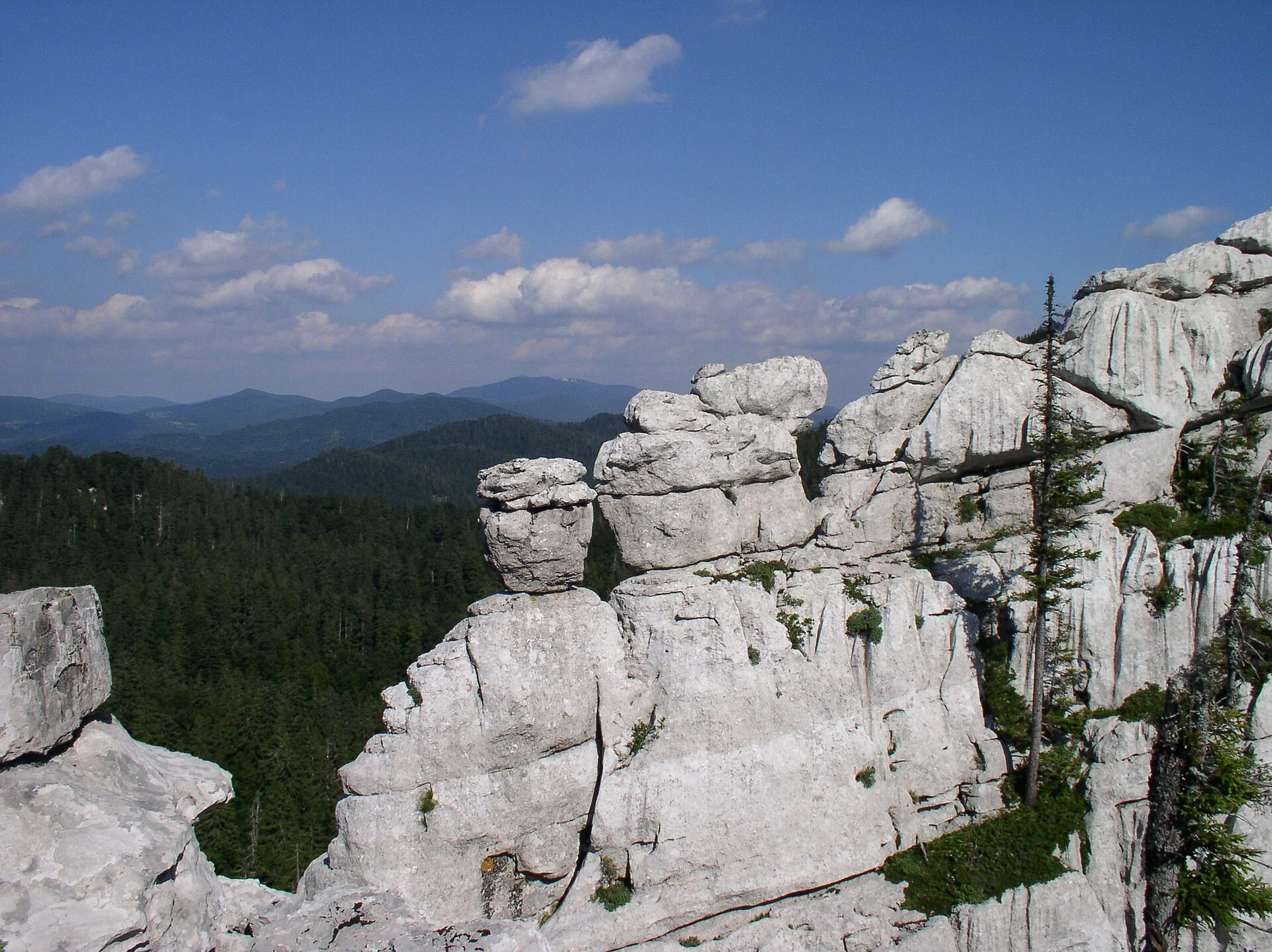 Burni Bitoraj.jpg